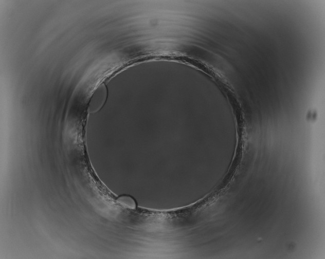 X0000115270881200911201726