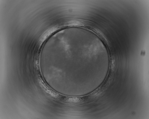 X0000115270882200911201726