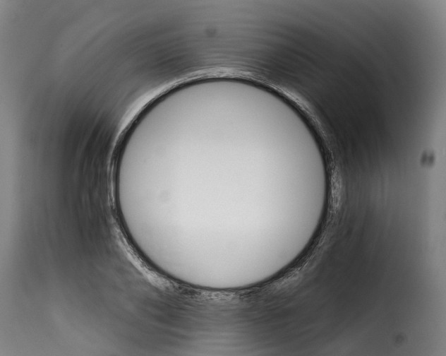 X0000115270886200911201726