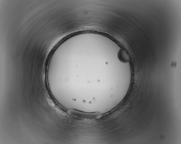 X0000115270888200911201726