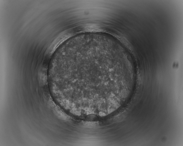X0000115270889200911201726