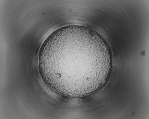 X0000115270891200911201726