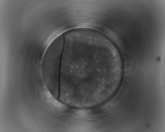 X0000115270892200911201726