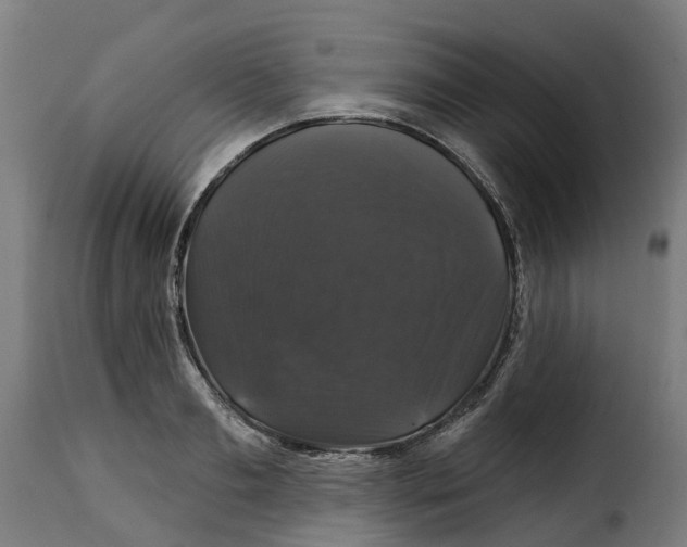 X0000115270893200911201726
