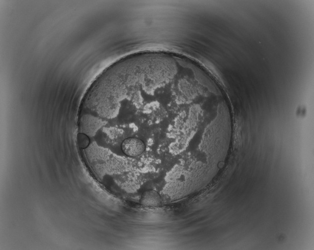 X0000115270895200911201726