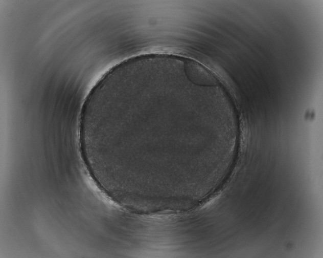 X0000115270896200911201726