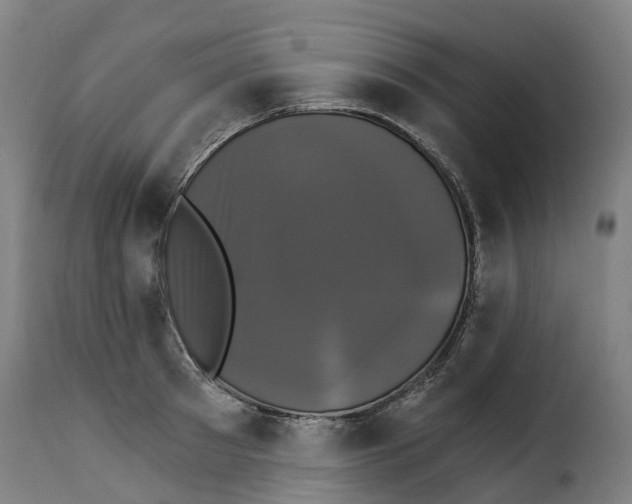 X0000115270897200911201726