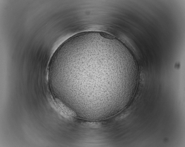 X0000115270900200911201726