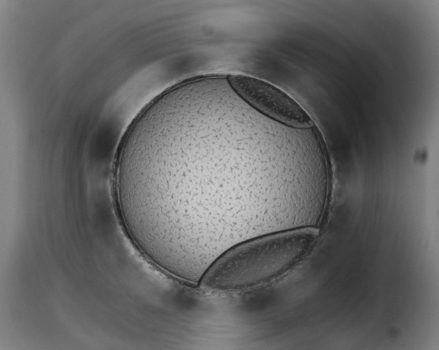 X0000115270901200911201726