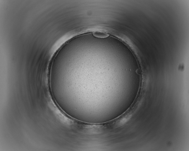 X0000115270902200911201726