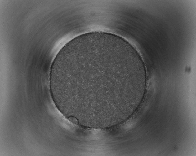 X0000115270903200911201726