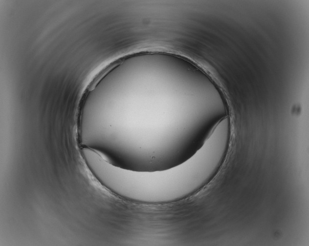 X0000115270904200911201726