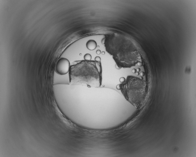 X0000115270905200911201726