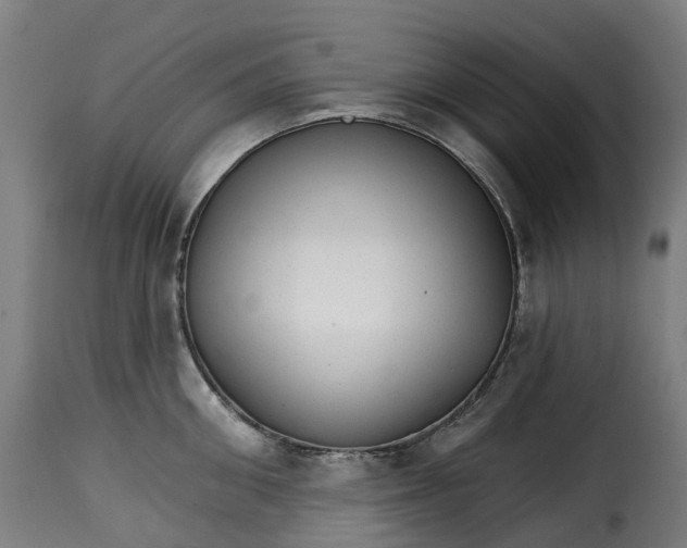 X0000115270906200911201726