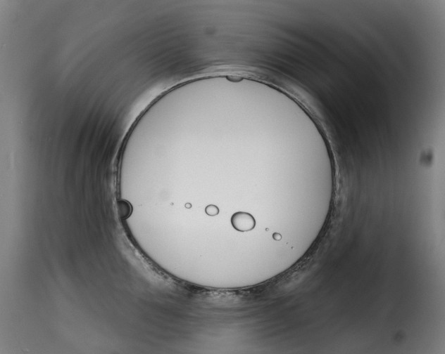X0000115270907200911201726