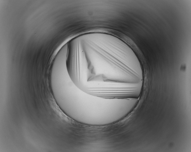 X0000115270908200911201726