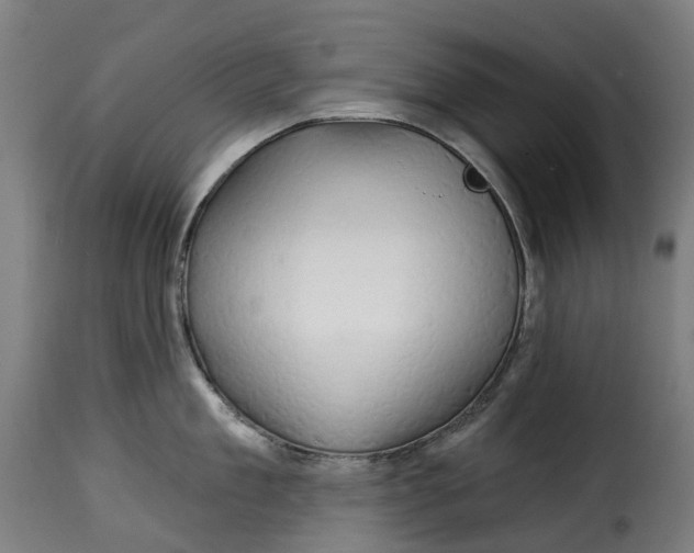 X0000115270909200911201726