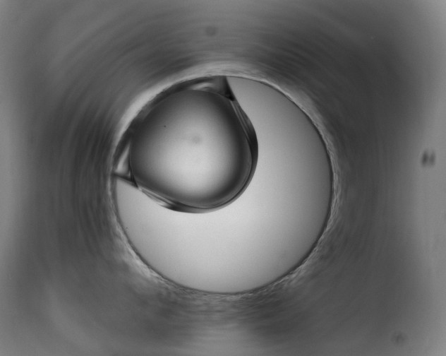 X0000115270912200911201726