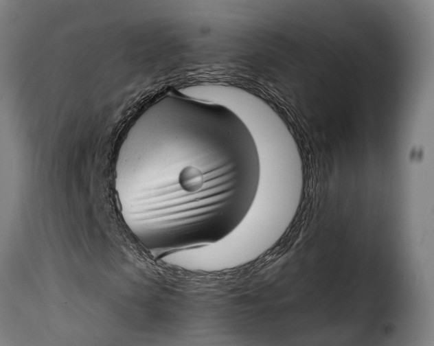 X0000115270913200911201725