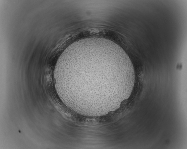 X0000115270914200911201725