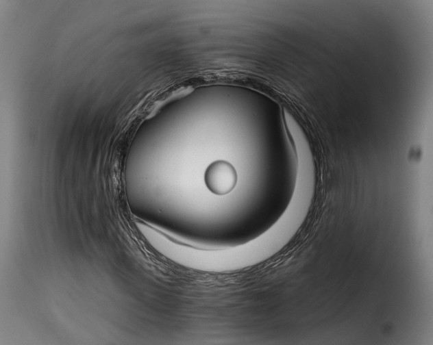 X0000115270915200911201725