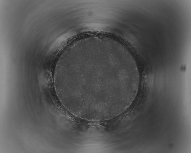 X0000115270918200911201725