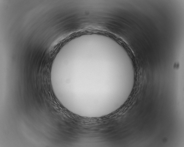 X0000115270919200911201725