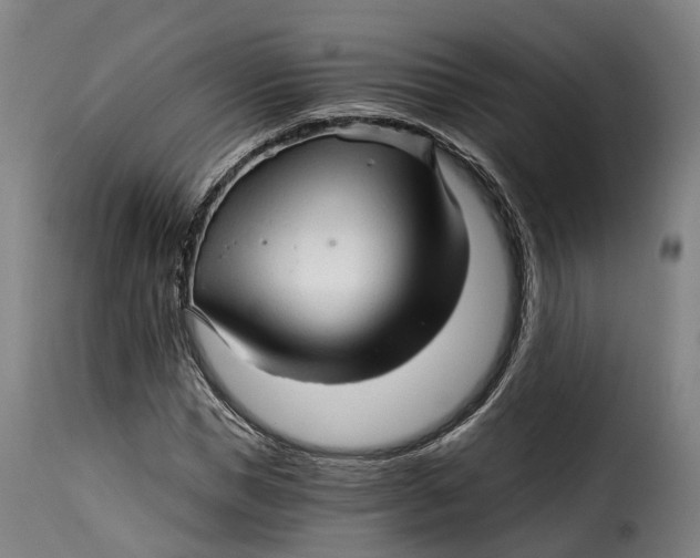 X0000115270921200911201725