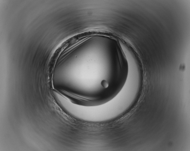 X0000115270923200911201725