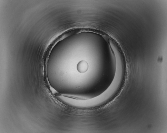 X0000115270925200911201725