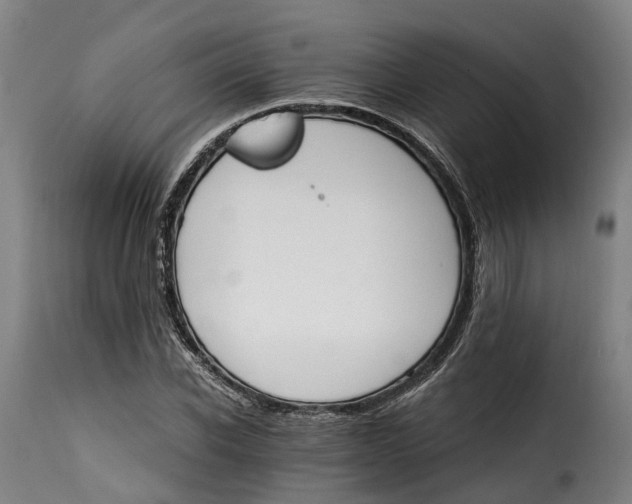 X0000115270926200911201725