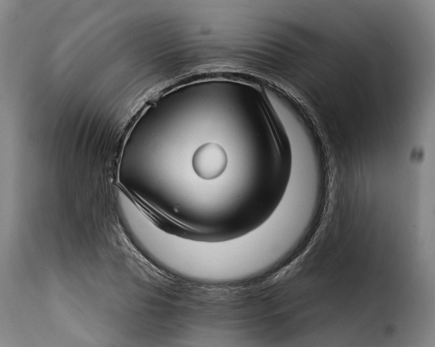 X0000115270929200911201725