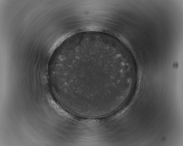 X0000115270930200911201725