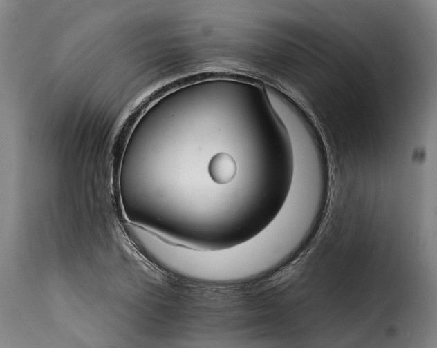 X0000115270931200911201725