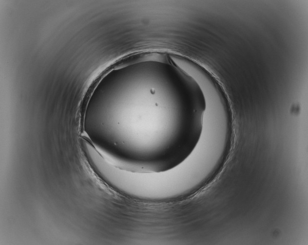 X0000115270933200911201725