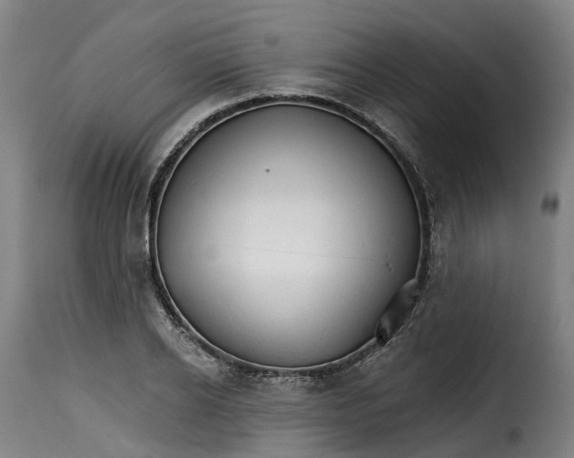 X0000115270934200911201725