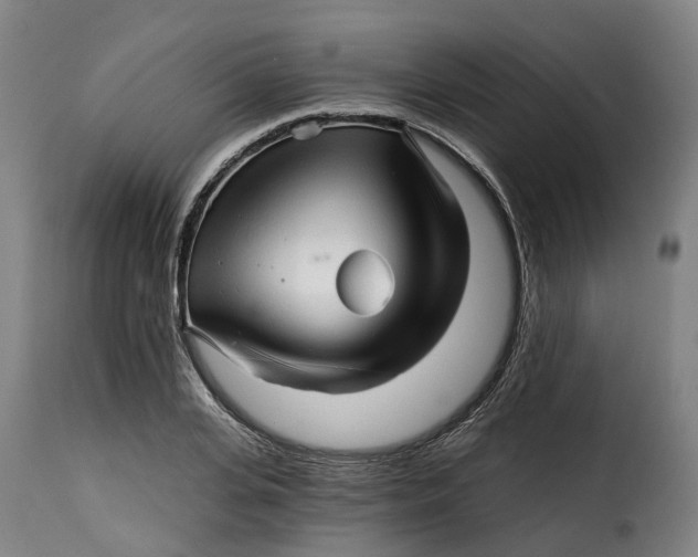X0000115270935200911201725