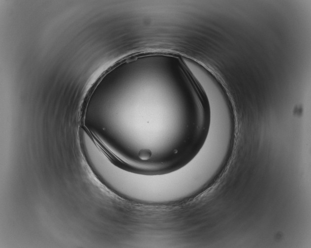 X0000115270941200911201725