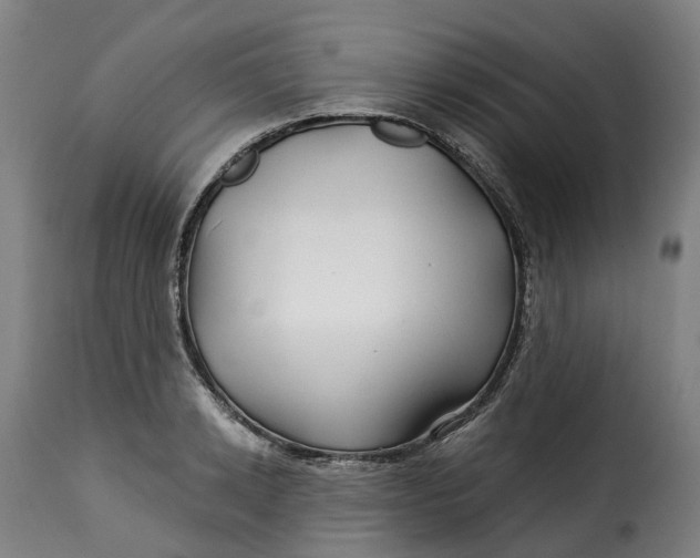 X0000115270942200911201725