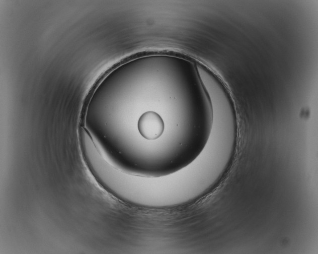 X0000115270943200911201725