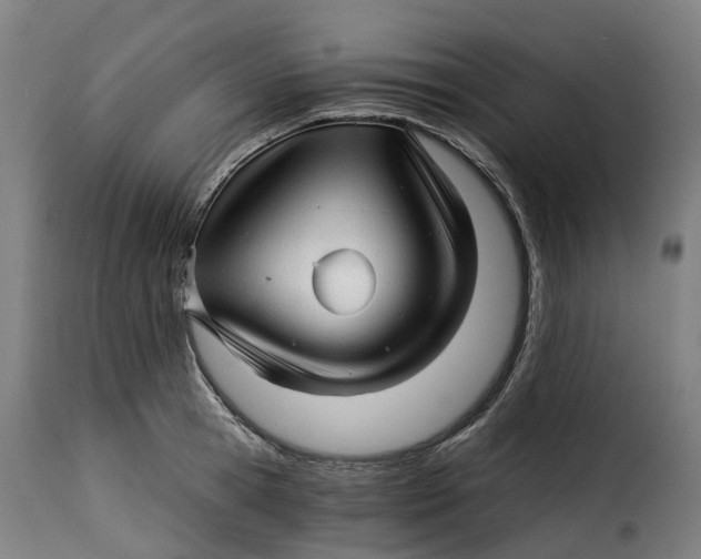 X0000115270945200911201725
