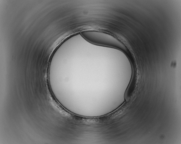 X0000115270946200911201725
