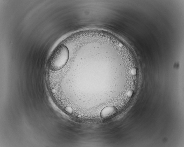 X0000115270950200911201725