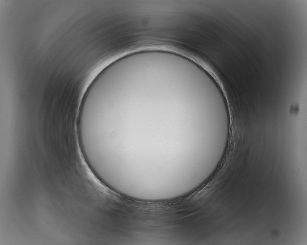X0000115270951200911201725