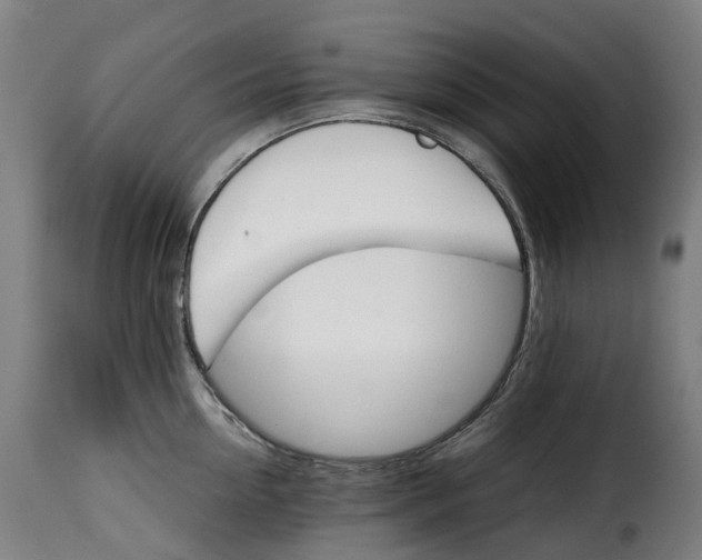 X0000115270954200911201726