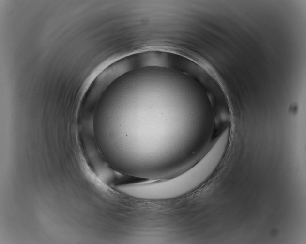 X0000115270955200911201726