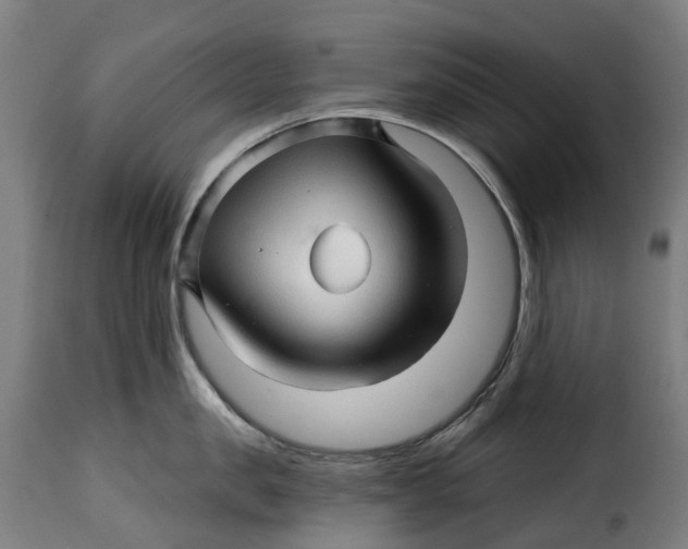 X0000115270957200911201726