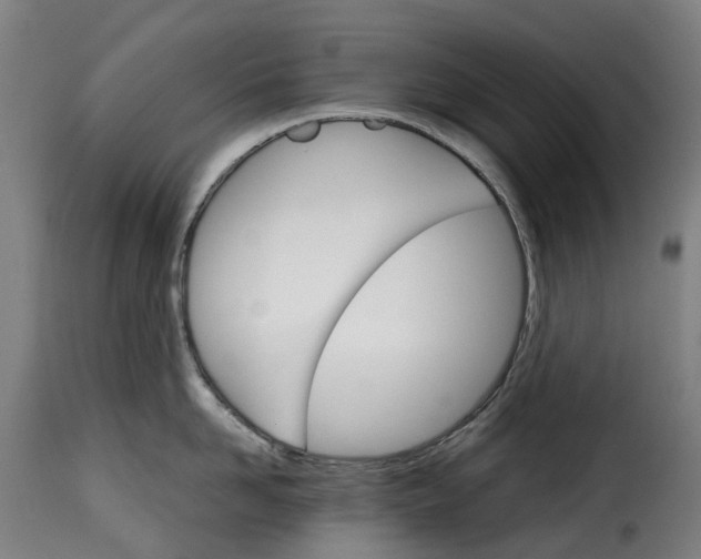 X0000115270958200911201726