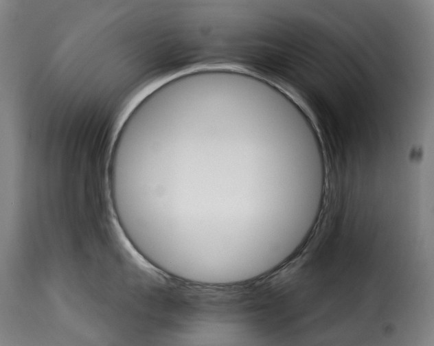 X0000115270959200911201726