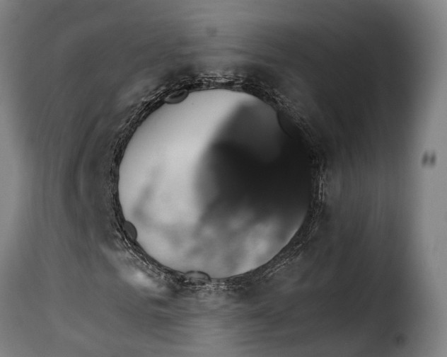 X0000115270961200911201725